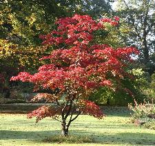 Green Island Gardens - Open Gardens, Garden Centre, Plant Nursery ...